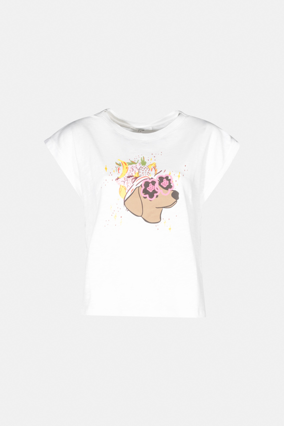 Camiseta algodon MDM